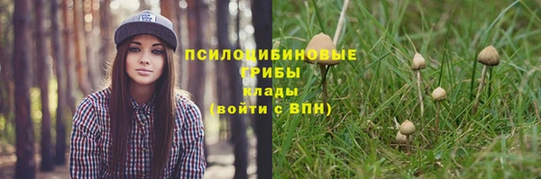 MESCALINE Заводоуковск
