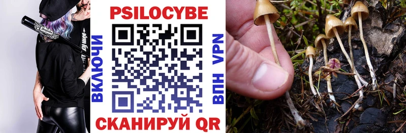 Псилоцибиновые грибы Magic Shrooms  Купить  Маркс 